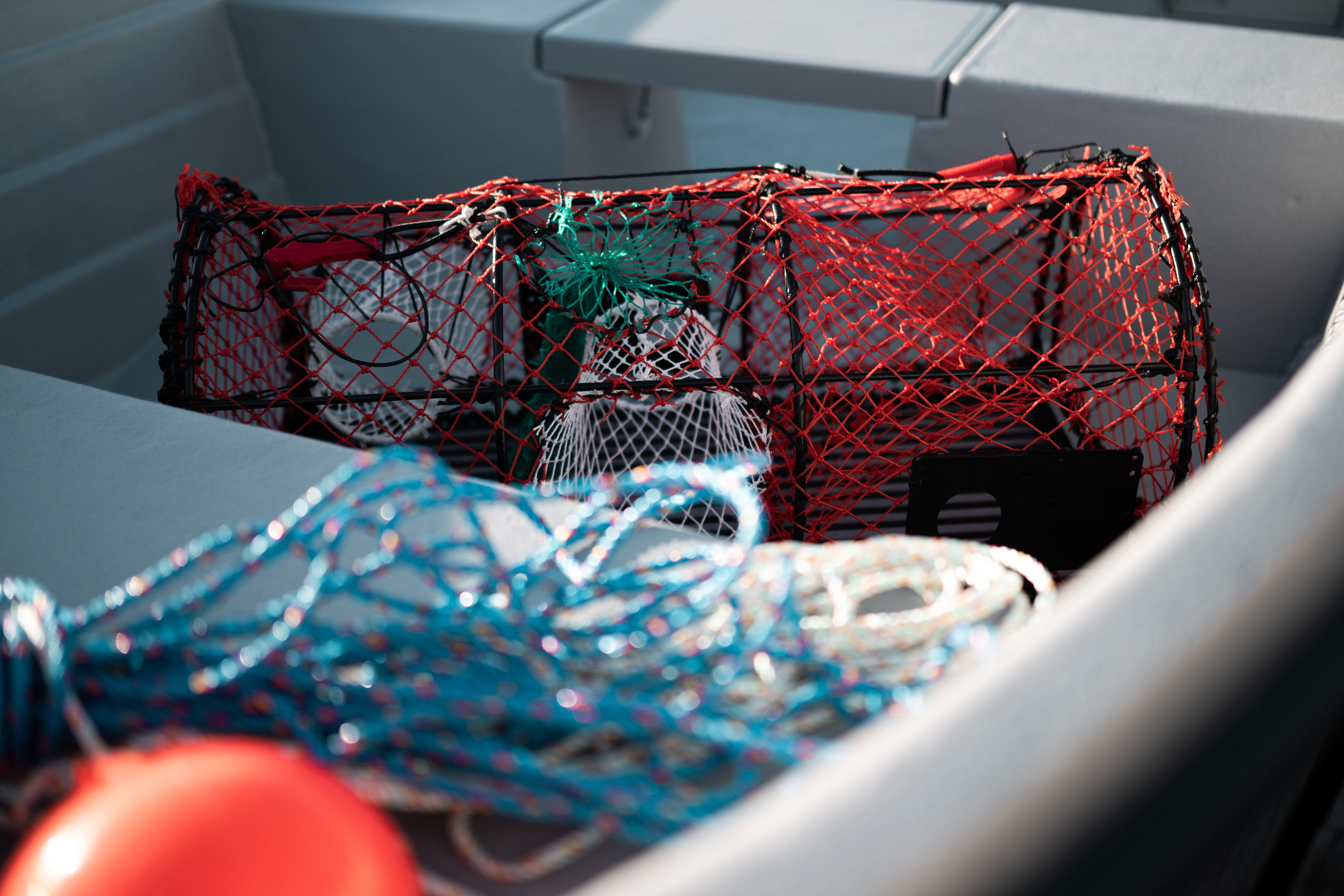 Sting 470 Pro TTL 8586