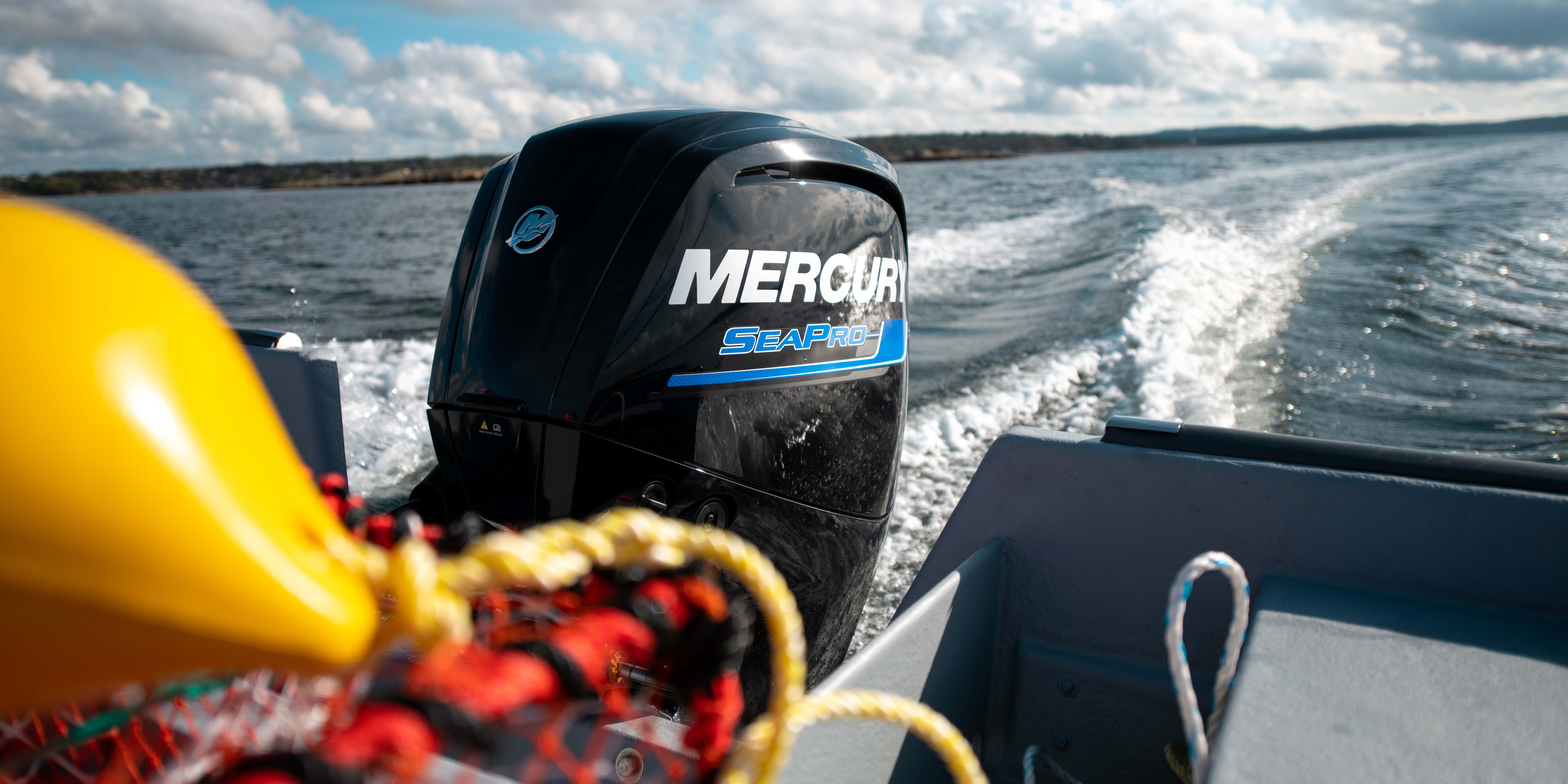 Sting 600 Pro Mercury Engine Seen From Aft